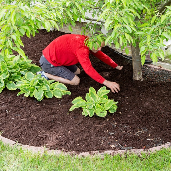 for a quote on mulch installation in your garden, please provide the square footage and type of mulch desired